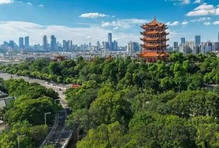 足球比分排怎么画-足球比分排绘制指南，从入门到精通